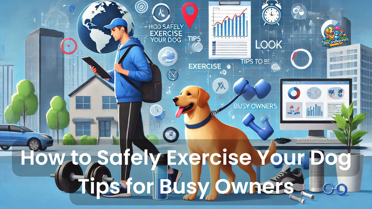 Pet_caring_for_busy owners